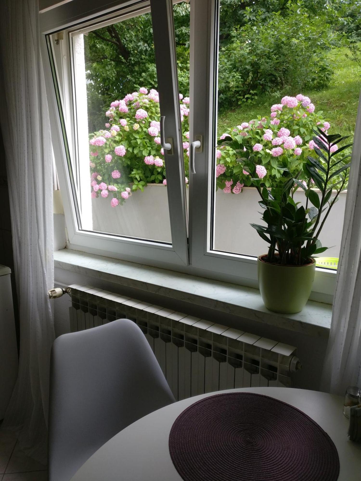 Apartman Malina คาร์โลวัตส์ ภายนอก รูปภาพ